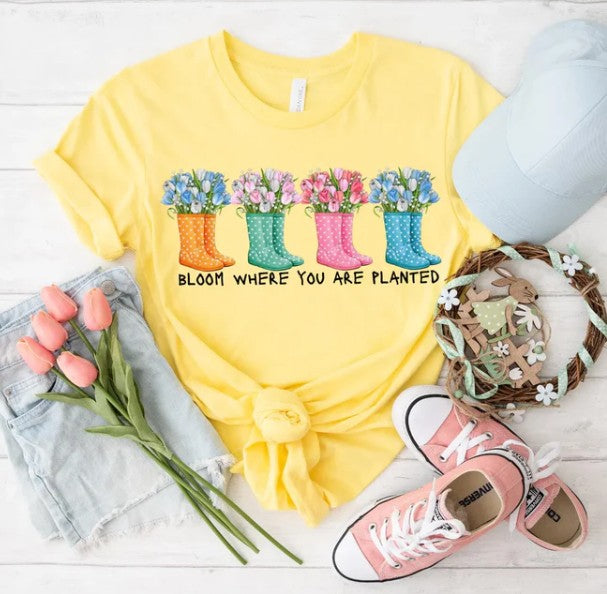 EXPRESSIONS BLOOM WHERE YOU ARE PLANTED