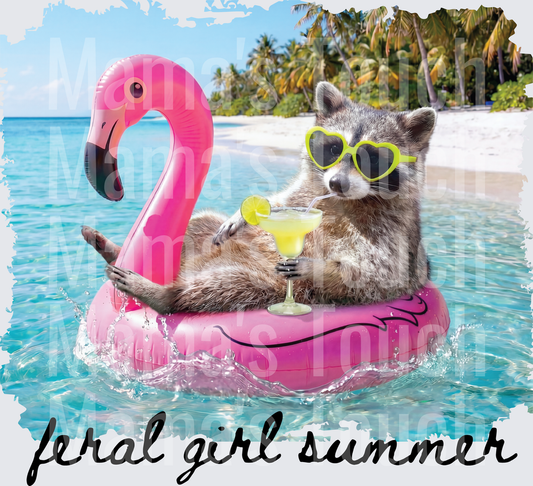 Raccoon Ferral Summer