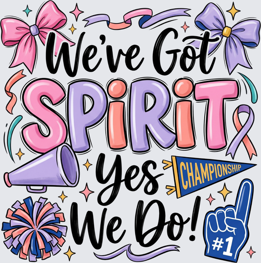 Cheer we've got spirit DTF Transfer - Direct to Film Transfer - THIS IS NOT A T-Shirt or Digital Product