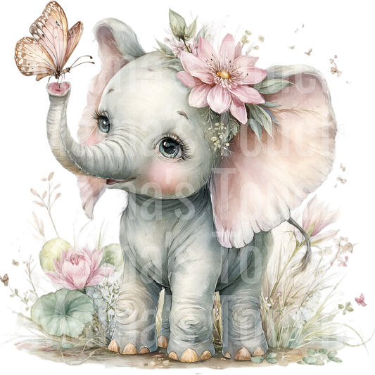 Elephant flower (15)